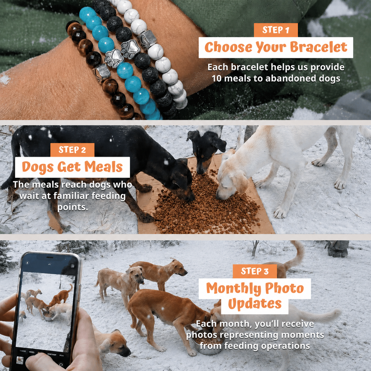 Three steps showing how a Rescue Paws bracelet helps provide meals and monthly photo updates