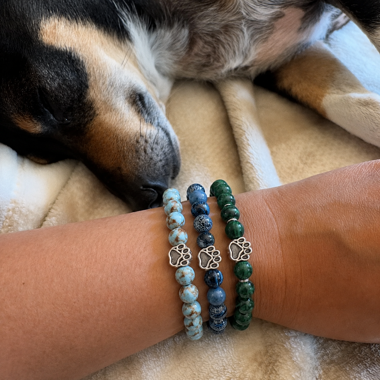 Three Rescue Paws bracelets worn beside a sleeping dog