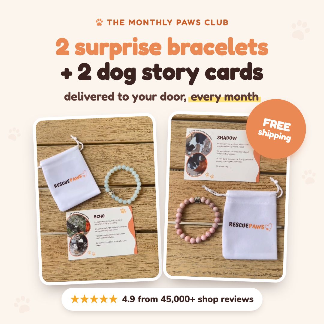 The Monthly Paws Club: 2 surprise bracelets and 2 dog story cards delivered every month, free shipping