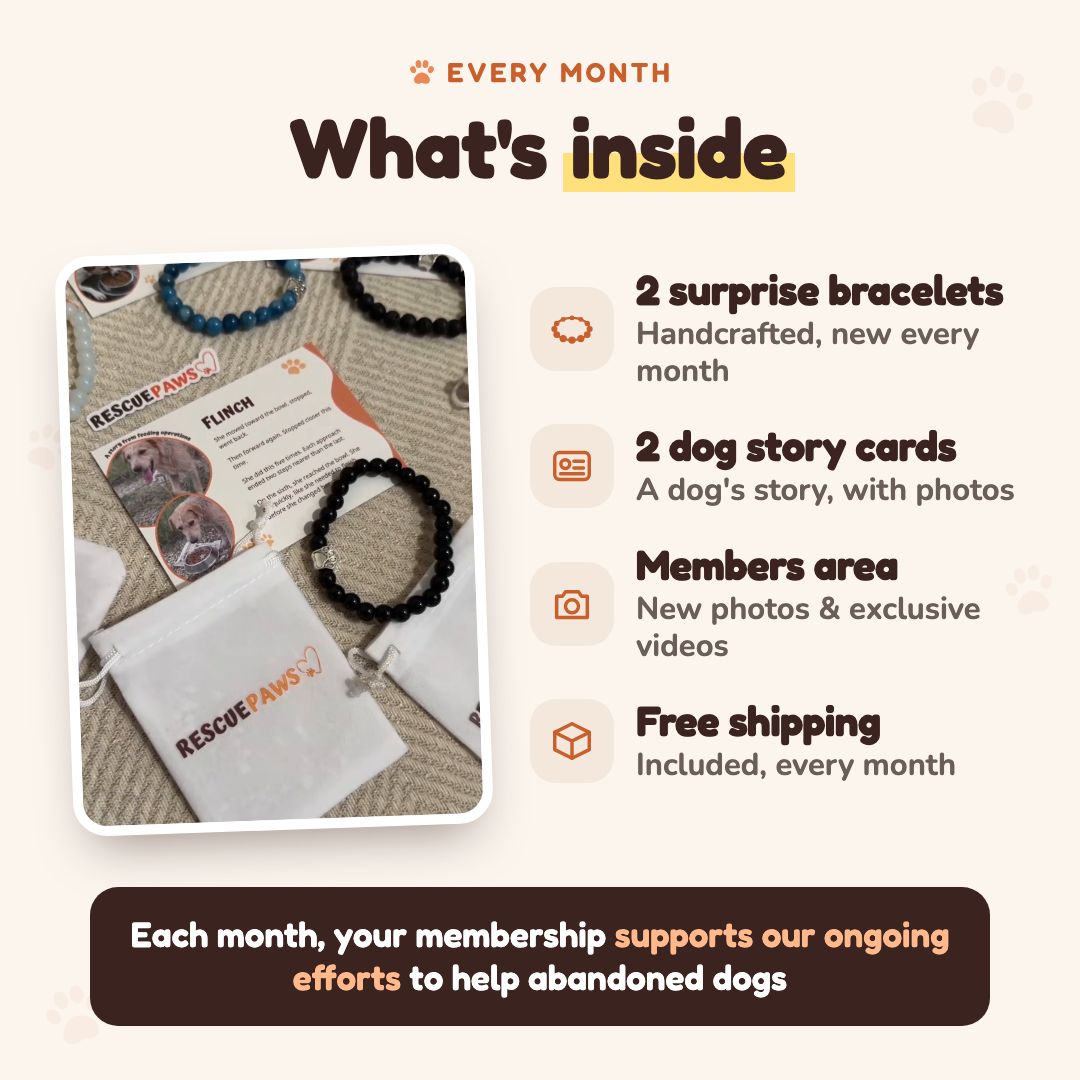 What's inside every month: 2 surprise bracelets, 2 dog story cards, members area, free shipping