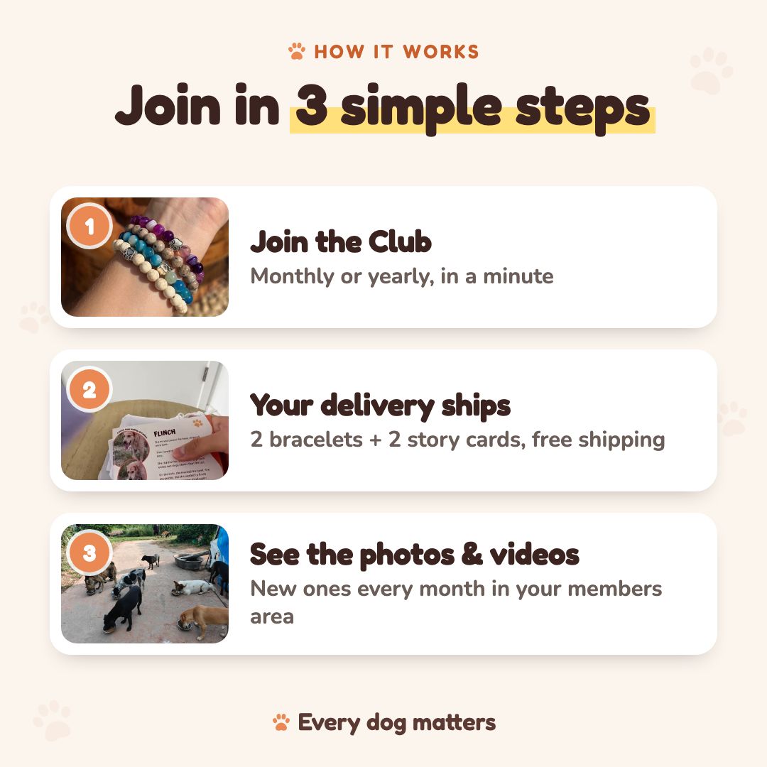 How the Club works in 3 steps