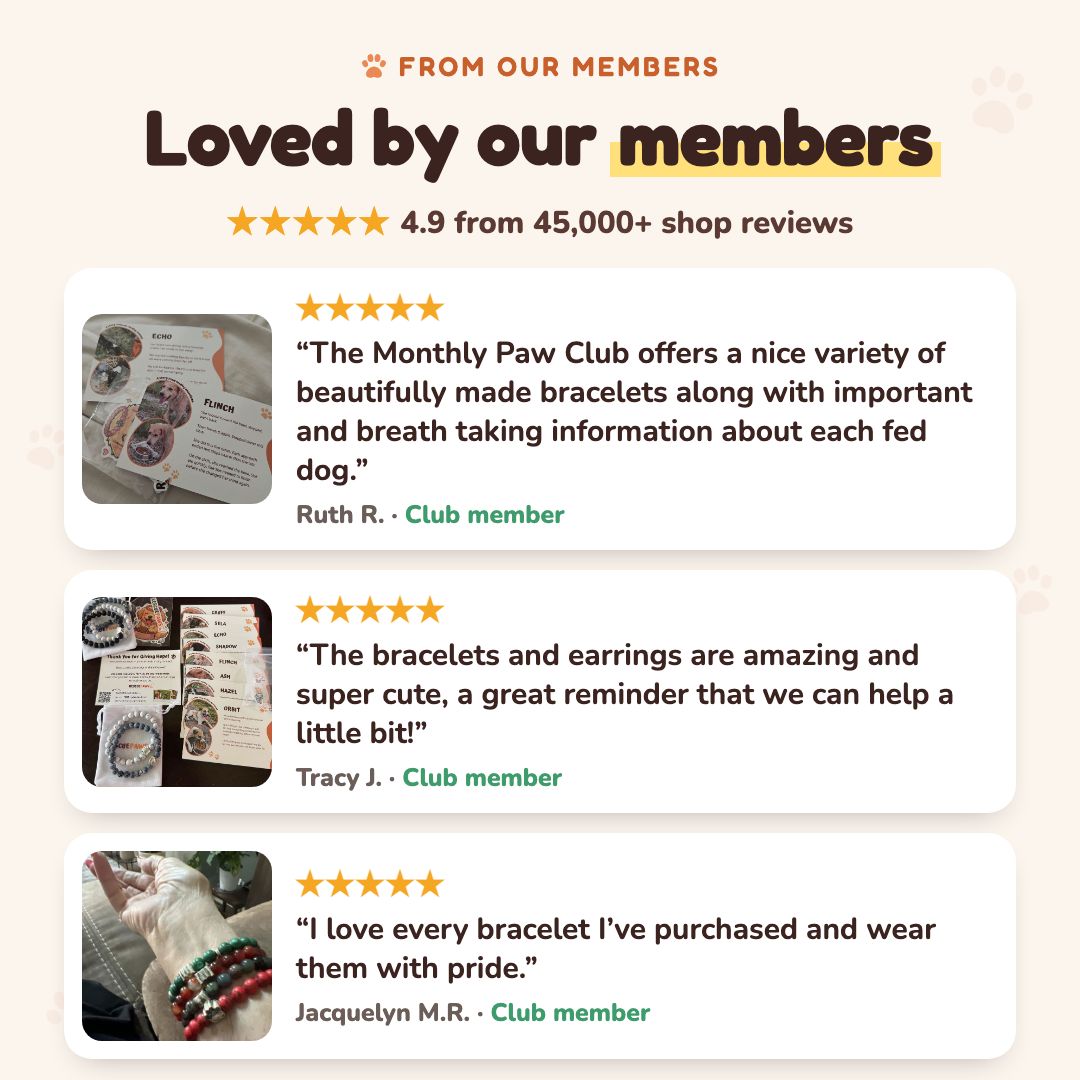 Reviews from Monthly Paws Club members