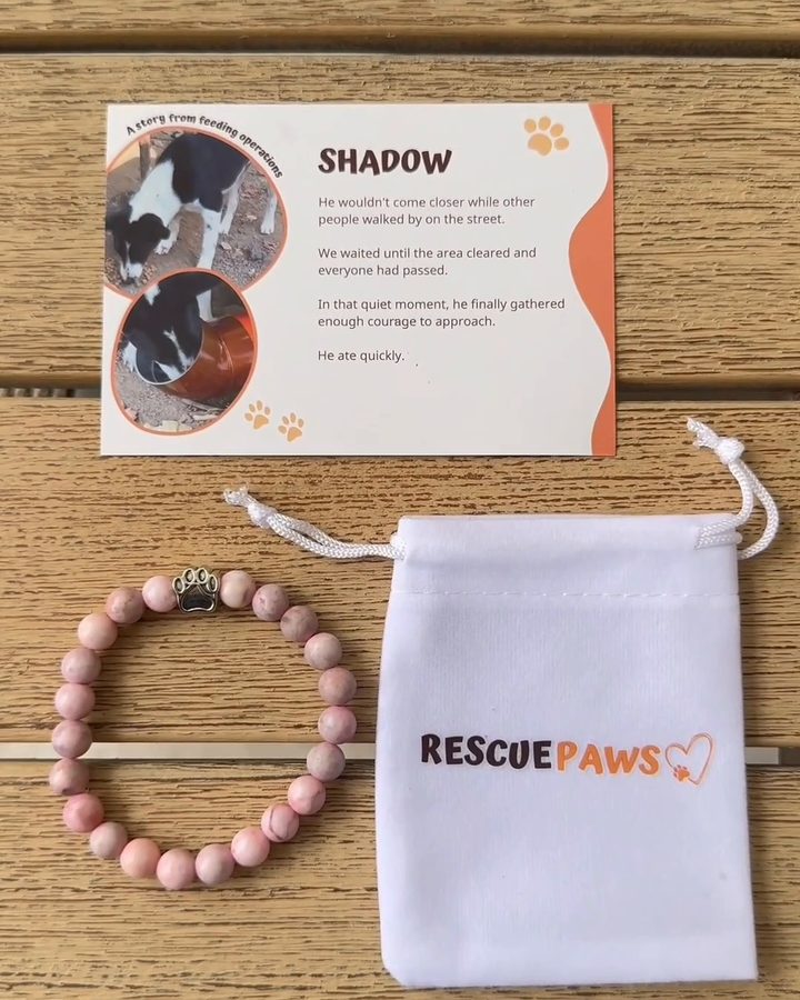 A dog story card, a bead bracelet and a Rescue Paws pouch