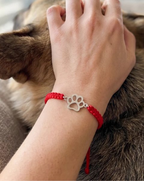 A wrist wearing a Rescue Paws rope bracelet